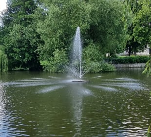 Teich