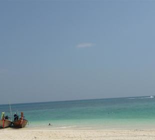 Bamboo Island