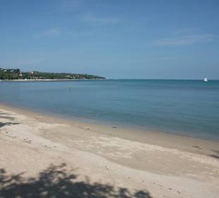 Toller Strand