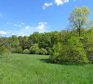 Impressionen vom Rundgang um den Klostersee