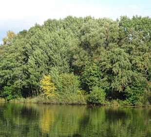 Impressionen vom Spaziergang am Drielaker See