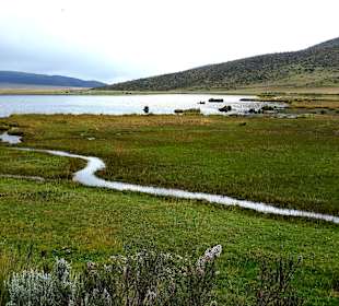 Cotopaxi Nationalpark