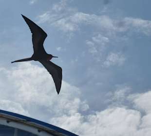 Wir werden minutenlang begleitet