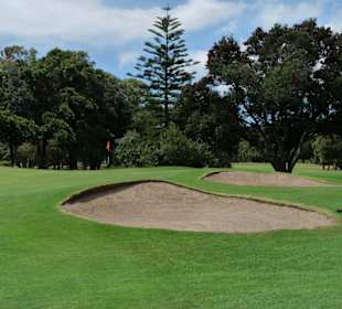Royal Cape Golf Club