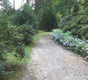 Barockschloss Rammenau