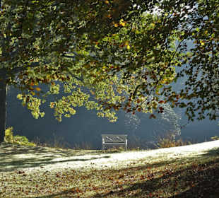 Herbstspaziergang durch den Schlosspark Lütetsburg