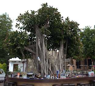 Restaurant am Hafen in Side