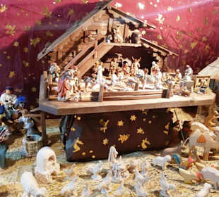 Grippenausstellung versch. Leihgaben