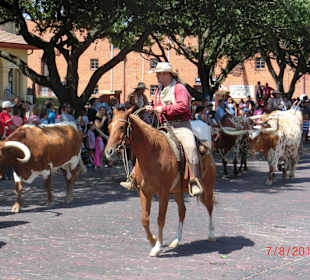 Viehtrieb Stock Yards