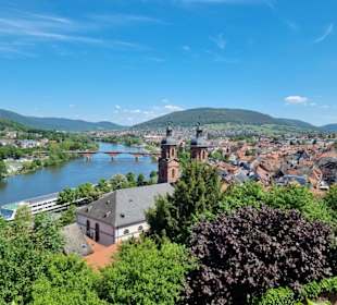 Ausblick von der Mildenburg