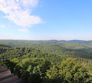 Blick auf den Thüringer Wald