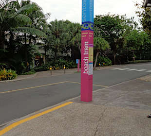 Haltstelle Palawan Beach