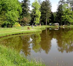 Teiche im Rhododendronpark
