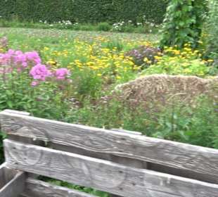 ALB-GOLD Naturgarten