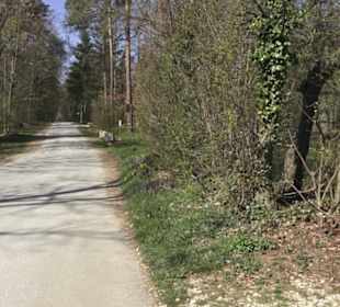 Wanderparkplatz Tannenwald