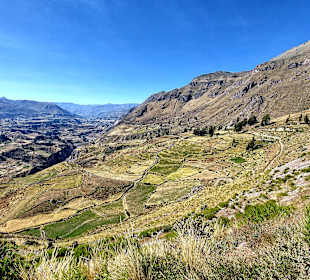 Colca-Canyon