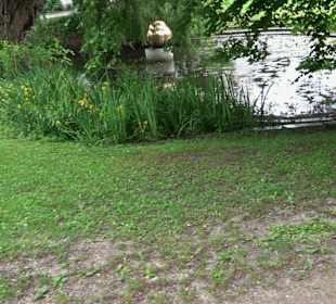 Forellenbächle Glacis Park