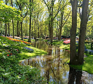 Keukenhof