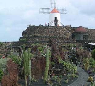 Blick in den Jardín de Cactus