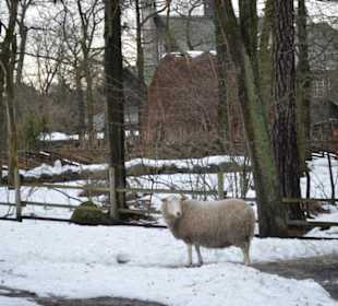 Freilichtmuseum Skansen