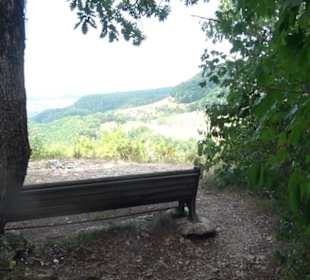 Aussichtspunkt am Eckfelsen