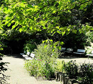 Ruhezone in den Wallanlagen