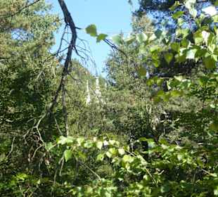 Wanderweg Keschtnweg