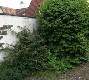 Kriegerdenkmal Bühl