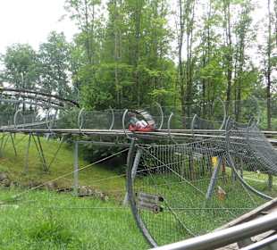 Alpine Coaster