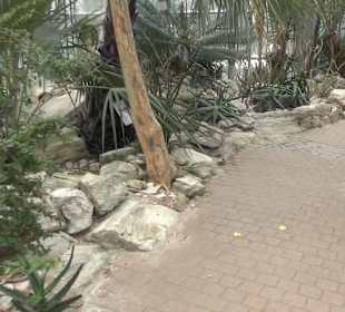 Tropicarium - Trockentropen
