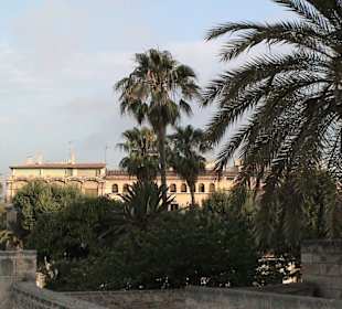 Blick vom Placa de la Rheina