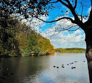 Парк Замка Ойтин. Золотая осень.