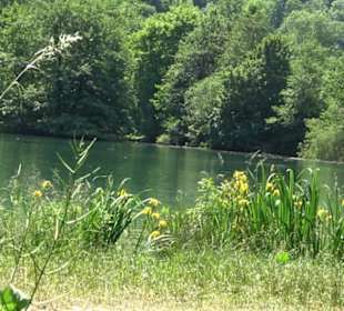 Wiesaztal Gönningen