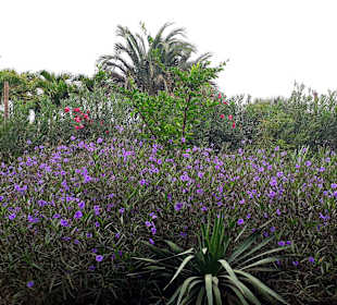 Botanischer Garten Viveiro