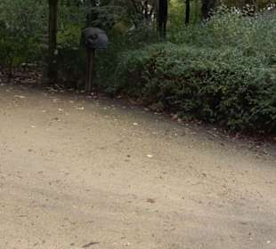 Schlosspark Biesdorf