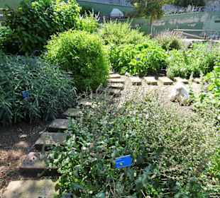 Rundgang durch den Botanischen Garten Cagliari