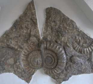 Bodelshausener Geschichtspfad