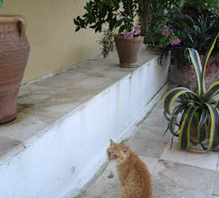  Kloster Paleokastritsa