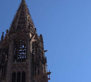 Freiburger Münster