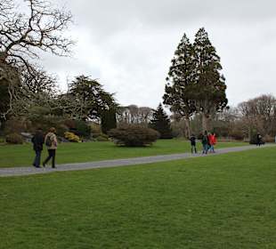 Muckross House, Park, Killarney Nationalpark