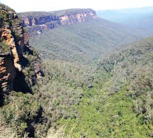 Aussicht beim Wandern in den Blue Mountains