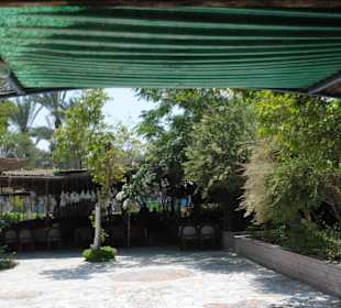 Hier wurde Mittagsgegessen - lecker