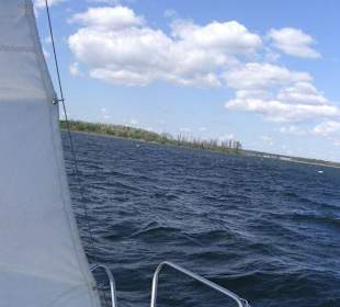 Wyspa kormoranów na horyzoncie