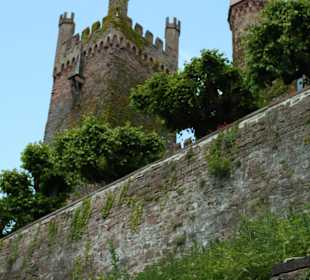  Zamek Neckarsteinach 