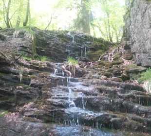 Naturbelassen der Anstieg zum Gipfel