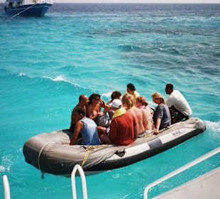 Tauch- und Schnorcheltour