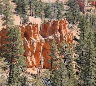 Bryce Canyon