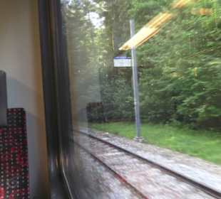 Fahrt zum Uetliberg