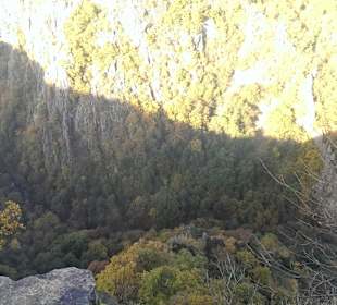 Ausblick
