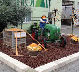 Raffeiner Orchideenwelt